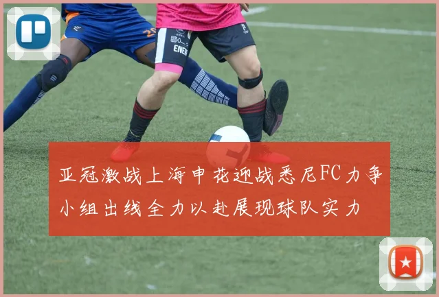 亚冠激战上海申花迎战悉尼FC力争小组出线全力以赴展现球队实力