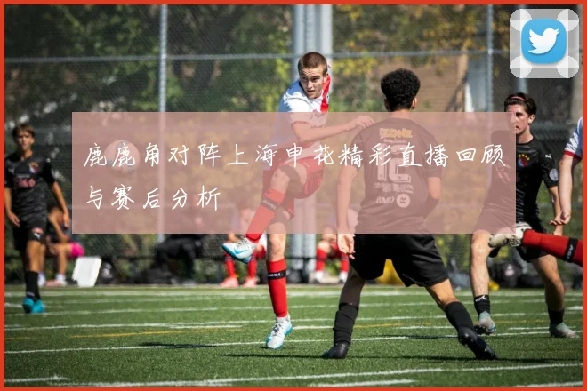 鹿鹿角对阵上海申花精彩直播回顾与赛后分析