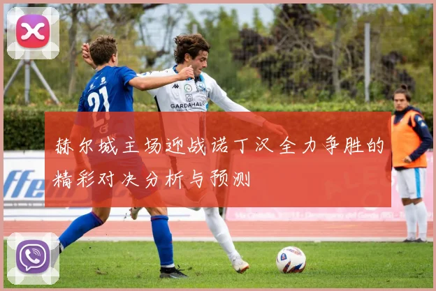 赫尔城主场迎战诺丁汉全力争胜的精彩对决分析与预测