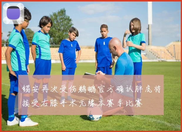 锡安再次受伤鹈鹕官方确认胖虎将接受右膝手术无缘本赛季比赛
