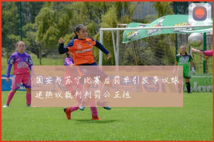国安与苏宁比赛后罚单引发争议球迷热议裁判判罚公正性