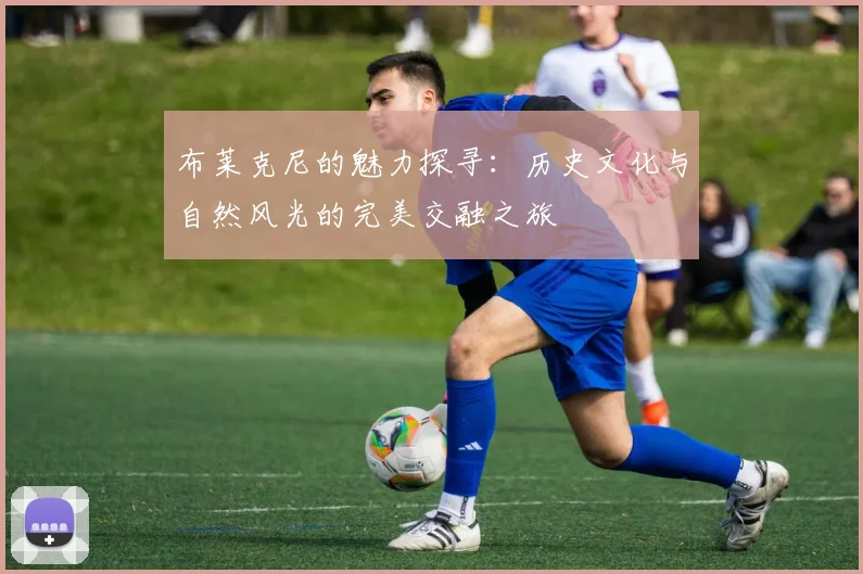 布莱克尼的魅力探寻：历史文化与自然风光的完美交融之旅